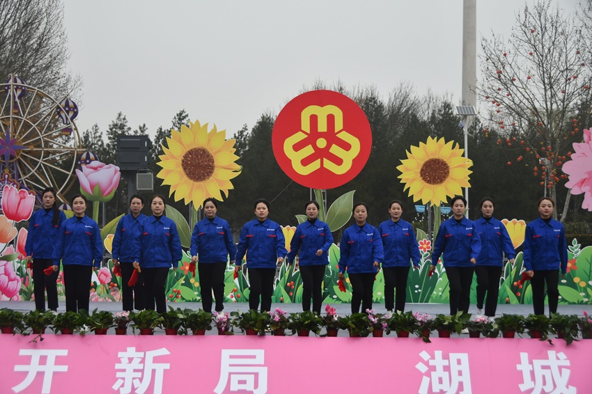 1773041673127181.jpg 415972233714654544.jpg